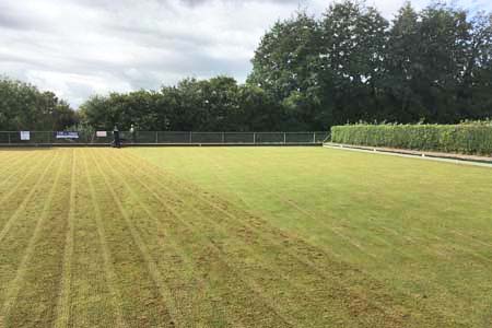 Picture of partly scarified green