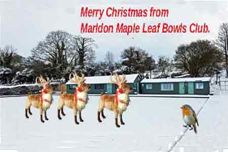 three reindeer and a robin on a snowy green